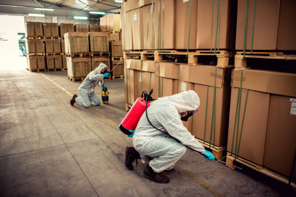 Best Emergency Pest Control  in Miami Springs, FL