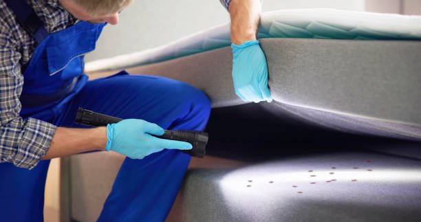 Best Best Pest Control Companies  in Miami Springs, FL