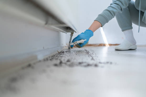 Pest Control Cost in Miami Springs, FL