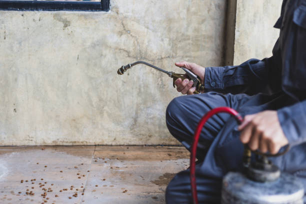 Best Pest Control Cost  in Miami Springs, FL